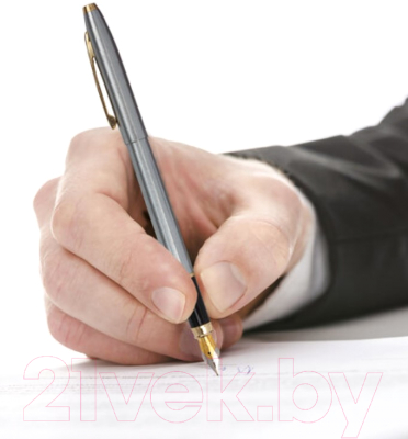 Ручка перьевая Brauberg Brioso / 143464