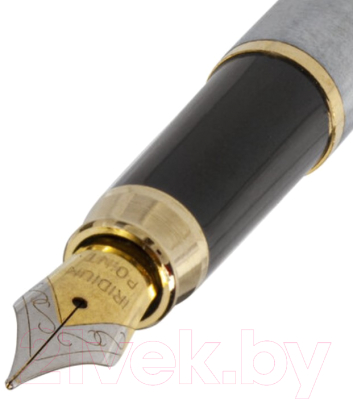 Ручка перьевая Brauberg Brioso / 143464