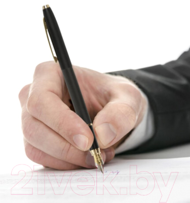 Ручка перьевая Brauberg Brioso / 143467