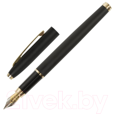 Ручка перьевая Brauberg Brioso / 143467