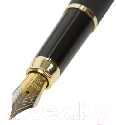 Ручка перьевая Brauberg Brioso / 143467