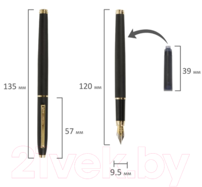 Ручка перьевая Brauberg Brioso / 143467