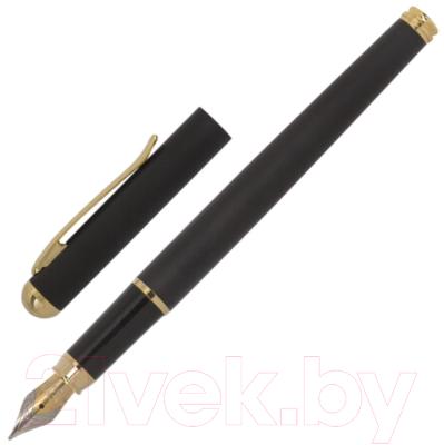 Ручка перьевая Brauberg Maestro / 143471