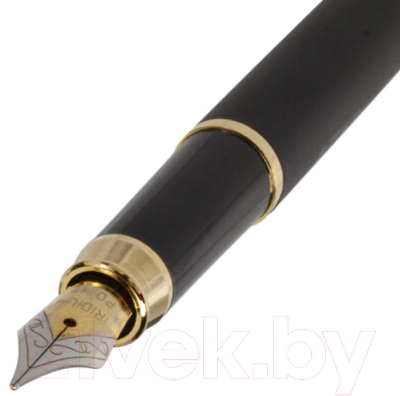 Ручка перьевая Brauberg Maestro / 143471