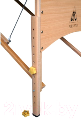 Массажный стол DFC Nirvana Optima / TS20110S-C (кремовый)