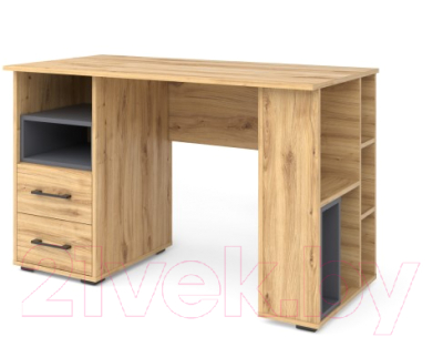 Письменный стол MySTAR Инсар 117.06 (дуб навара/графит) - фото