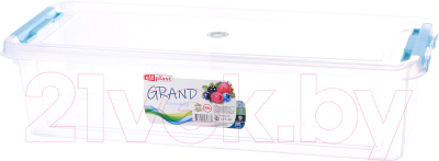 Контейнер для хранения Эльфпласт Grand ЕР494 - фото