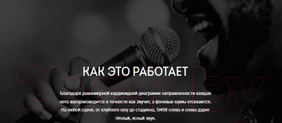 Микрофон Shure SM58SE