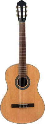 Акустическая гитара Flight C-100 NA 4/4 - фото