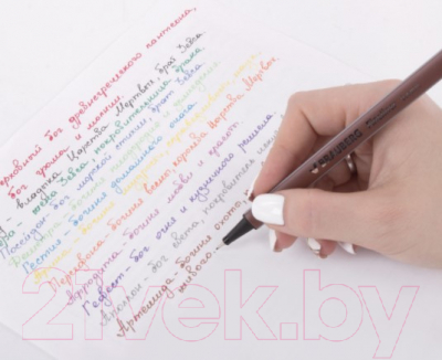 Набор капиллярных ручек Brauberg Aero / 141525