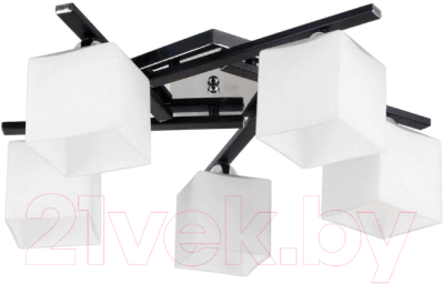 Люстра Arte Lamp Visuale A8165PL-5BK - фото