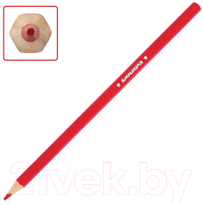 Набор цветных карандашей Юнландия Мир животных / 181374