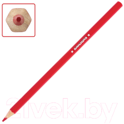 Набор цветных карандашей Юнландия Мир животных / 181385