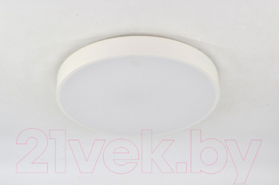 Потолочный светильник Mirastyle SX-20524/500-80W WT - фото