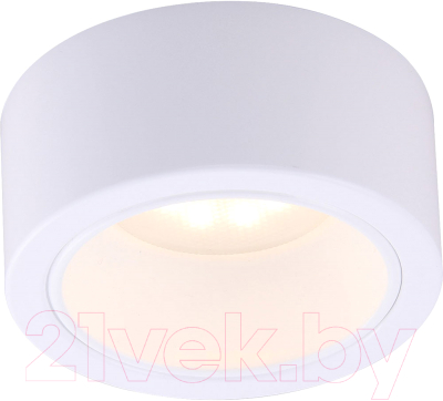 Светильник Arte Lamp Effetto A5553PL-1WH - фото