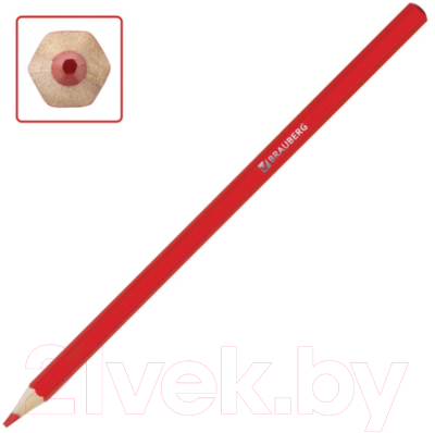 Набор акварельных карандашей Brauberg Академия / 181398