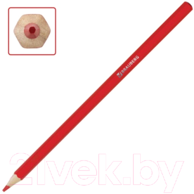 Набор акварельных карандашей Brauberg Академия / 181400