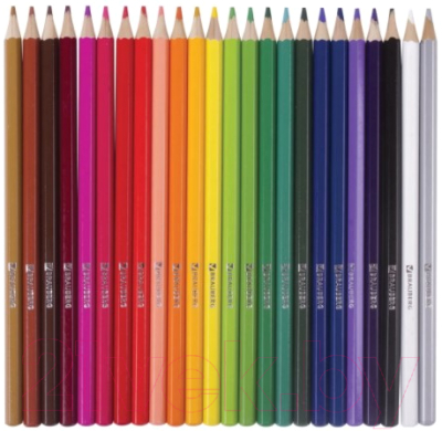Набор акварельных карандашей Brauberg Академия / 181400