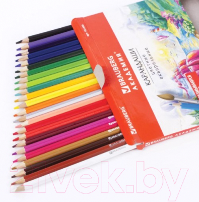 Набор акварельных карандашей Brauberg Академия / 181400