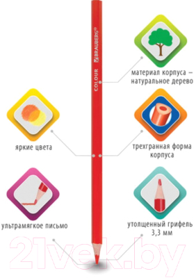 Набор цветных карандашей Brauberg Premium / 181652