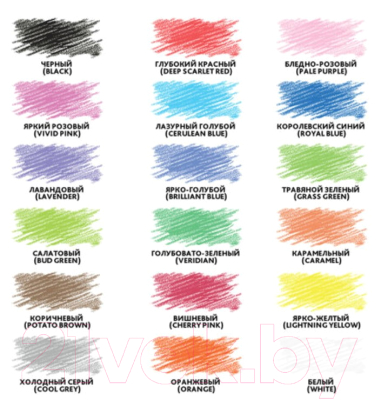 Набор цветных карандашей Brauberg Premium / 181652
