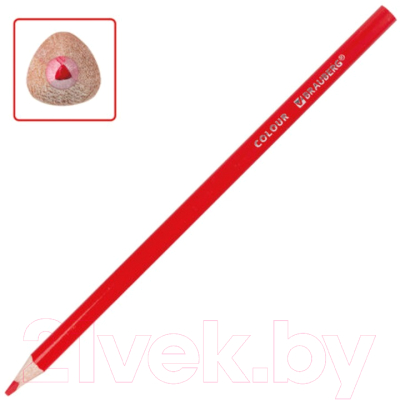 Набор цветных карандашей Brauberg Premium / 181653