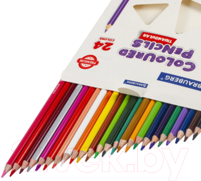 Набор цветных карандашей Brauberg Premium / 181653