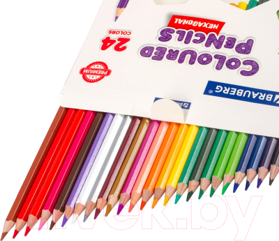 Набор цветных карандашей Brauberg Premium / 181658