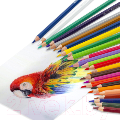 Набор цветных карандашей Brauberg Premium / 181658