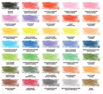 Набор цветных карандашей Brauberg Premium / 181659