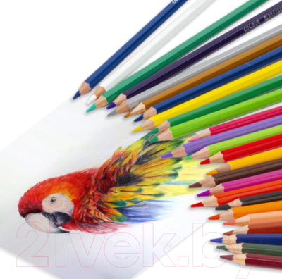 Набор цветных карандашей Brauberg Premium / 181659