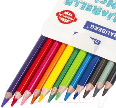 Набор акварельных карандашей Brauberg Premium / 181671