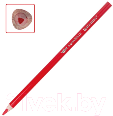 Набор акварельных карандашей Brauberg Premium / 181672