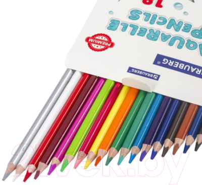 Набор акварельных карандашей Brauberg Premium / 181672