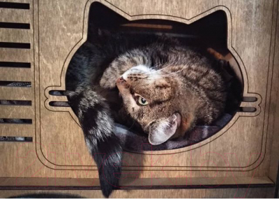 Домик-когтеточка Чешир Меломан