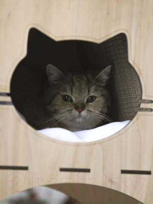 Домик-когтеточка Чешир Викинг