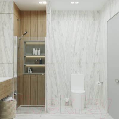 Душевая дверь Triton Уно 80x185 (прозрачное стекло)