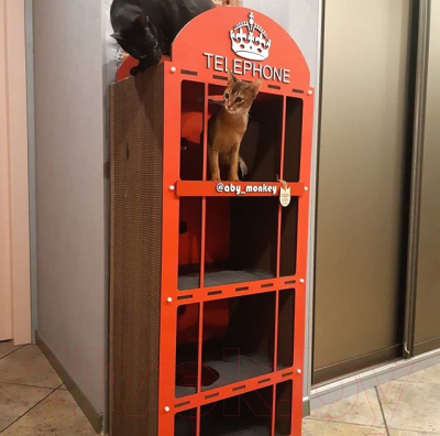 Комплекс для кошек Чешир Телефон