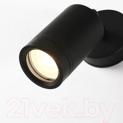 Бра уличное FAVOURITE Pharus 2892-1W