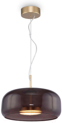 Потолочный светильник Maytoni Madmen MOD127PL-L6BR - фото