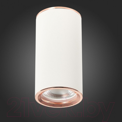 Точечный светильник ST Luce Chomus ST111.527.01