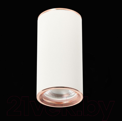 Точечный светильник ST Luce Chomus ST111.527.01