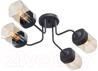 Люстра Vitaluce V4888-1/4PL - фото