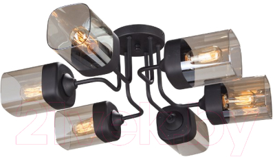 Люстра Vitaluce V4888-1/6PL - фото