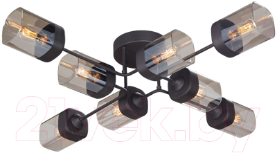 Люстра Vitaluce V4889-1/8PL - фото