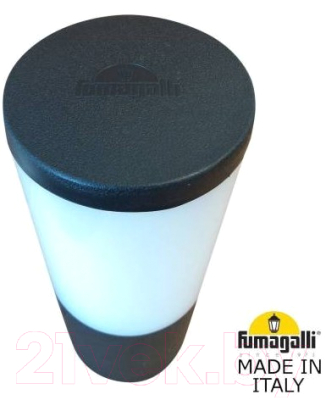 Светильник уличный Fumagalli Amelia DR2.573.000.AYF1R