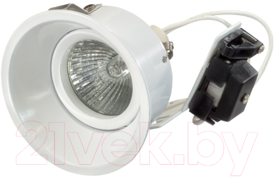 Точечный светильник Lightstar Domino 214606 - фото