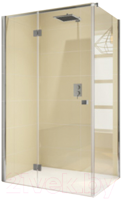 Душевой уголок Riho Polar P206L 100x80 / GP0208201 - фото