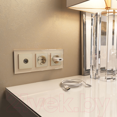 Рамка для выключателей и розеток Werkel W0031111 / a050792