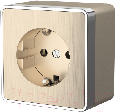 Розетка Werkel Gallant W5071010 / a051038 - фото